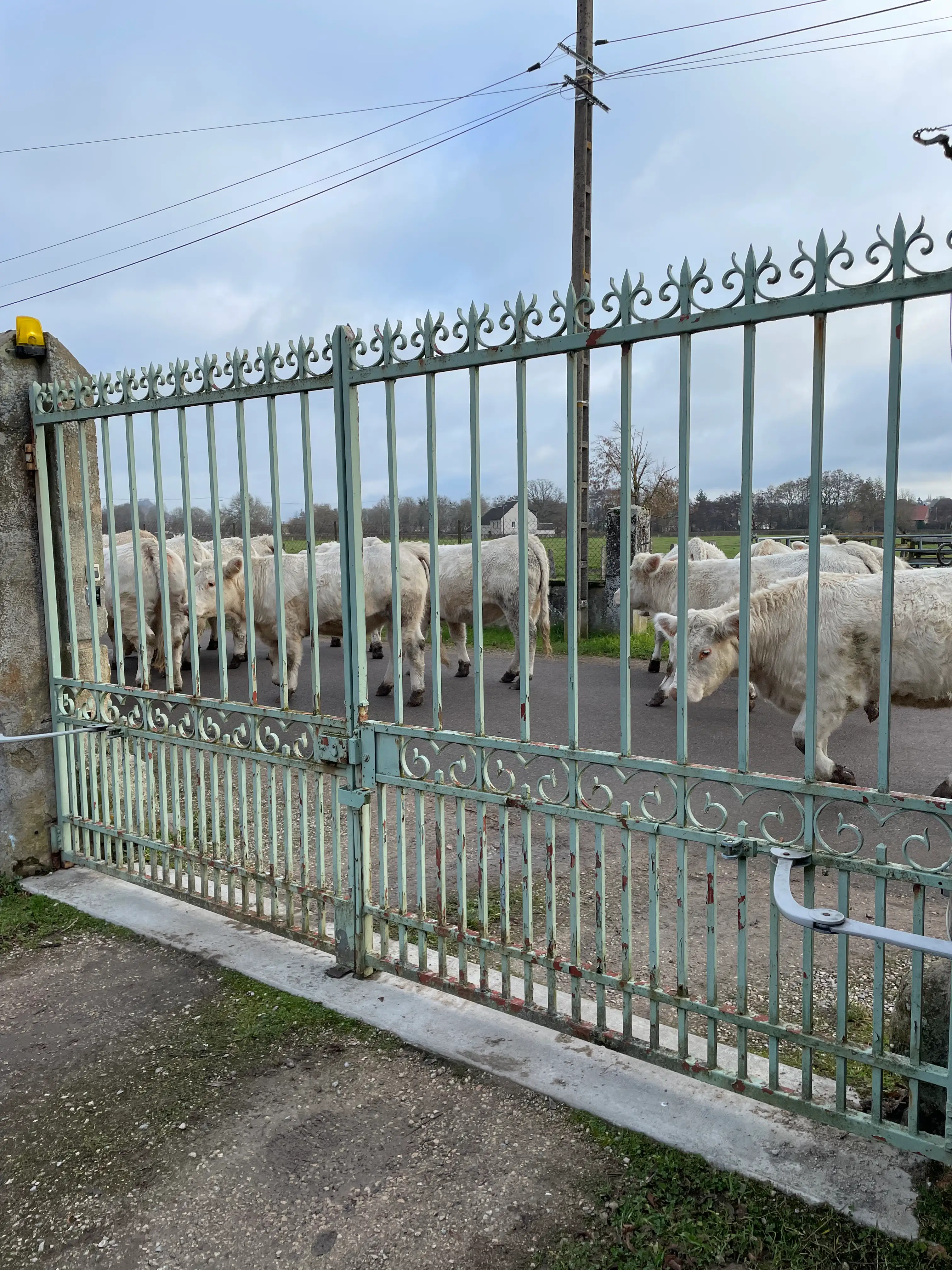 Jardin clos et sécurisé du gîte
